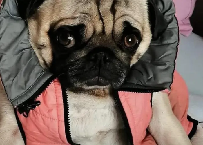 Penzion Pumperle Strazny